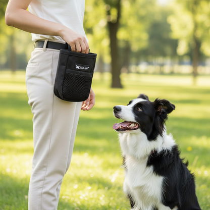 Dog Training Treat Bag – person with black waist treat bag rewarding Border Collie during outdoor training session